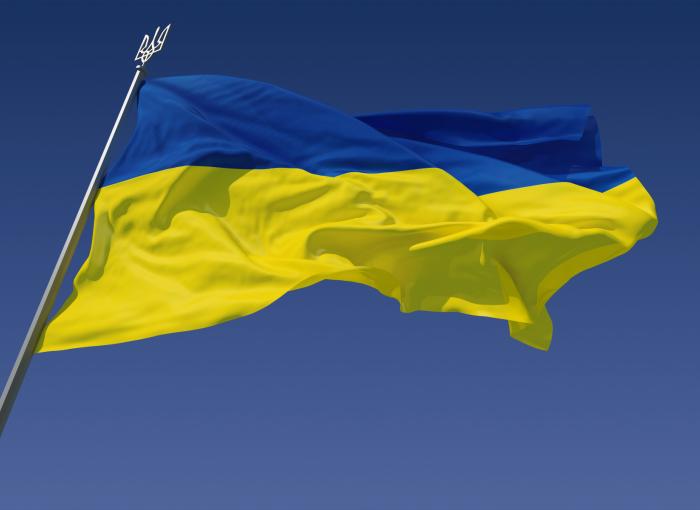 The Ukraine Flag